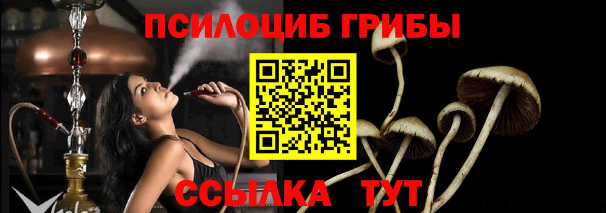 Псилоцибиновые грибы Psilocybine cubensis  где найти наркотики  Кизляр  Вход с VPN 